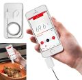 termometro gourmet per smartphones