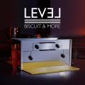 Level Martellato 