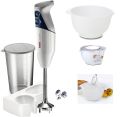 Mixer + Bacinella: Bamix Gastro Mono 200 completo di ciotola con coperchio e bicchiere