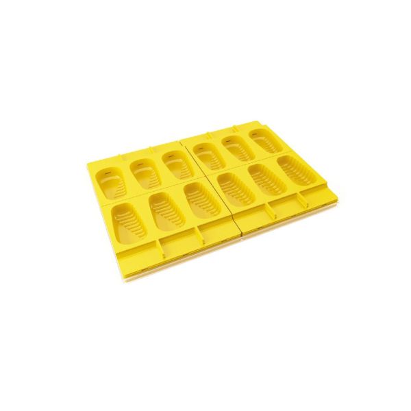 Kit 4 moulds PL02 Acapulco + 50 stick + polycarbonate tray 300x400 mm