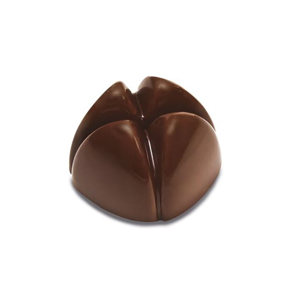 BONBONS Bachour 275 x 135 mm pralines mould - 21 pcs for mould - 28 x 28 x 18 h - vol. 10 gr