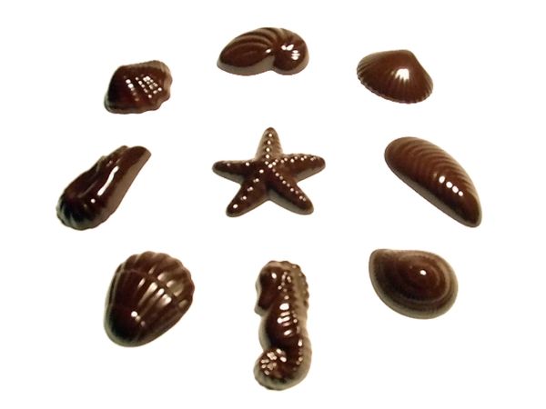 Stampo in policarbonato cioccolatini Frutti di mare