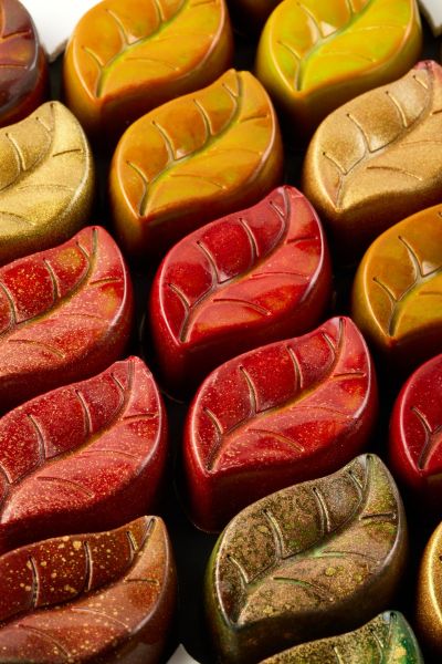 Stampo Praline Pavoni PC5074FR GARDEN Design Foglia by Liudmila Pascurova