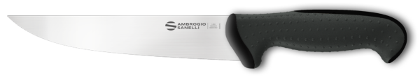Boning knife straight cm. 16 BLACK handle Tecna Line by Ambrogio Sanelli