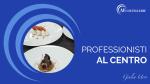 Professionisti al centro: Giulia Urso, dall’Italia all’Irlanda, la mia storia di pasticceria e fiducia